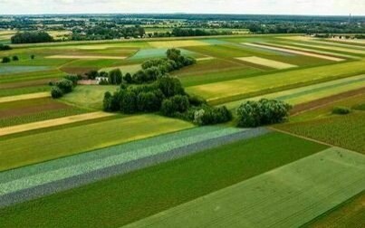 Płatność dla małych gospodarstw zamiast płatności bezpośrednich – sprawdź, czy to się opłaca. Dokumenty do 31 sierpnia TYLKO przez eWniosekPlus