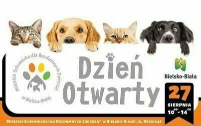 Dzień otwarty w Miejskim Schronisku dla Bezdomnych Zwierząt w Bielsku-Białej