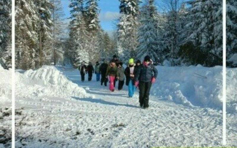 Nie masz planów na ferie? Jedź z nami na Zimowisko!