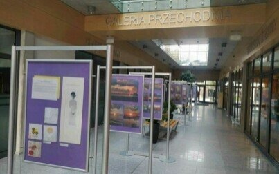 Wystawa prac nauczycieli i uczniów Szkoły Podstawowej nr 2 w Kętach w Miejskiej Bibliotece Publicznej w Oświęcimiu