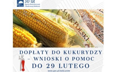 Dopłaty do kukurydzy – wnioski o pomoc do 29 lutego