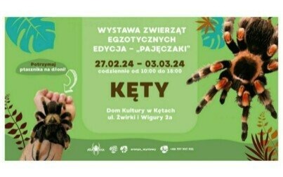 WYSTAWA ZWIERZĄT EGZOTYCZNYCH W DOMU KULTURY W KĘTACH | PAJĘCZAKI