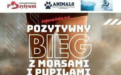 Pozytywny Bieg z Morsami i Pupilami w Oświęcimiu