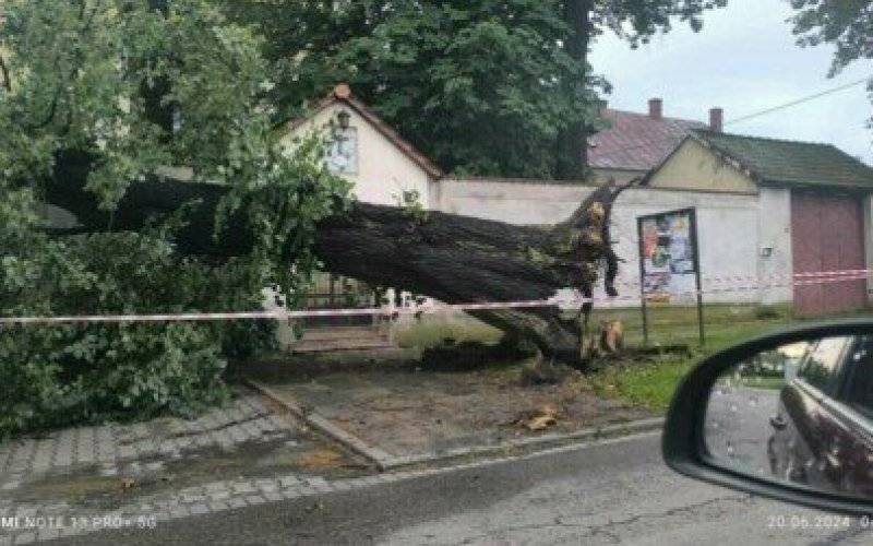 Wieczorna burza powaliła drzewa i postawiła na nogi wszystkie gminne jednostki OSP