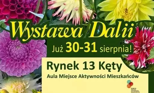 Wystawa dalii w Miejscu Aktywności Mieszkańców Rynek 13