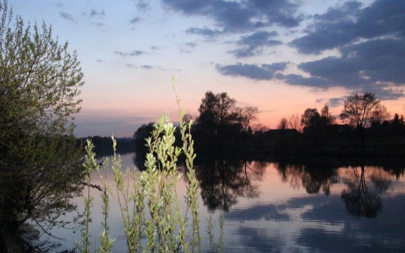 Zwłoki w Wiśle. W akcji służby ratunkowe