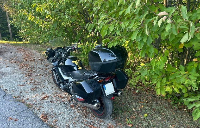 Wypadek drogowy z udziałem motocyklisty i zwierzęcia