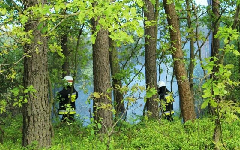 Pożar ściółki leśnej w Bobrku. ZDJĘCIA !