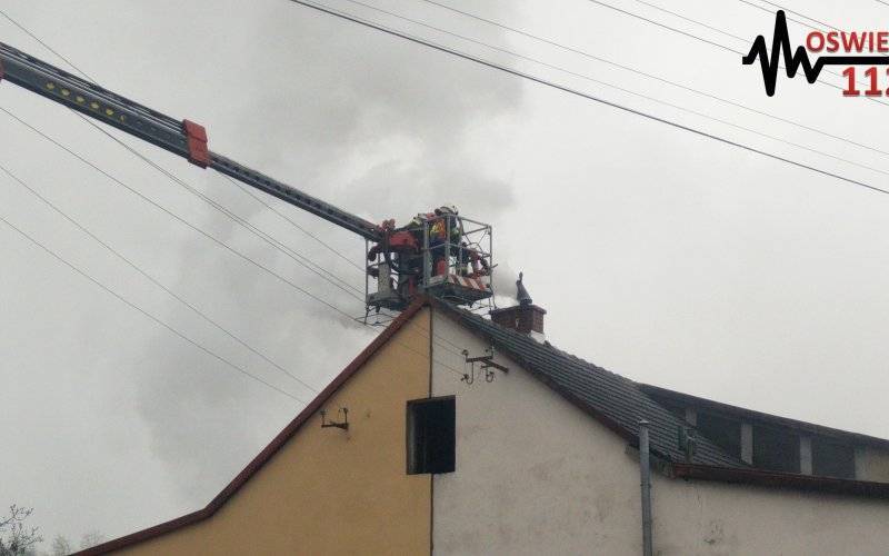 Trzy pożary sadz w ciągu 24 godzin. ZDJĘCIA, FILM !