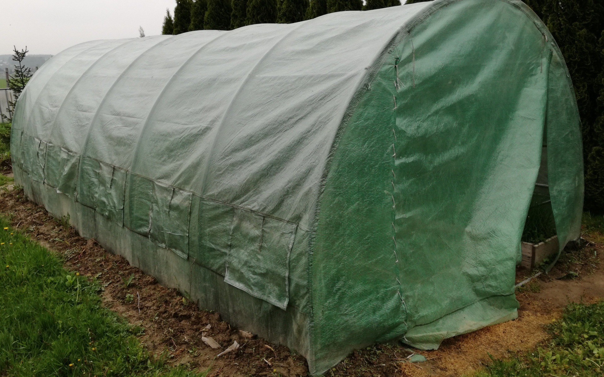 Policja zlikwidowała przydomową plantację konopi indyjskiej. ZDJĘCIA !