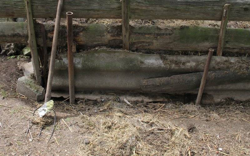 Pijany mężczyzna zabił swojego kota. ZDJĘCIE !