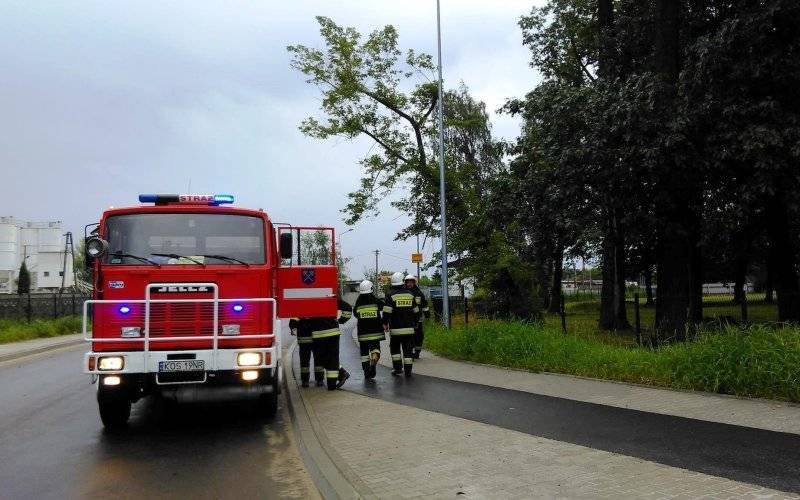 Silny wiatr w powiecie wyrządził wiele szkód. W Zatorze drzewo spadło na samochód. ZDJĘCIA !