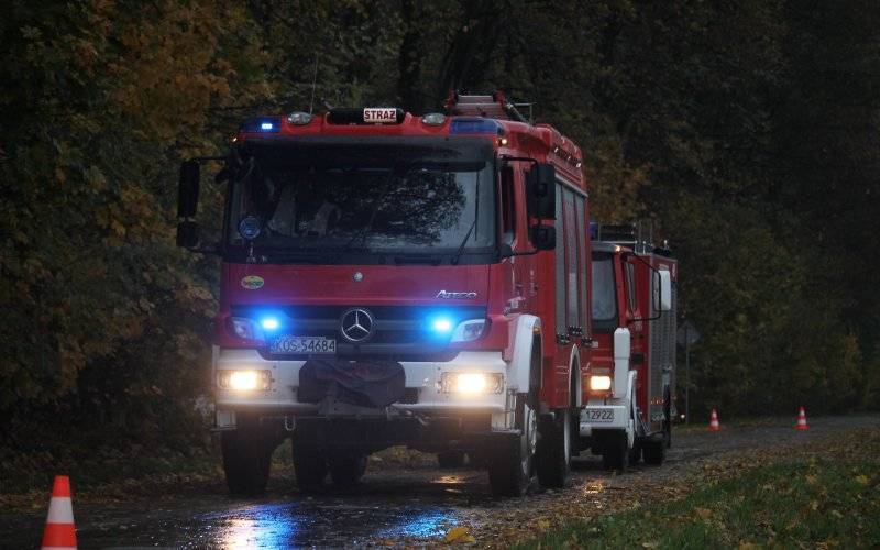 Strażacy usuwali skutki silnych wiatrów ! FOTORELACJA !