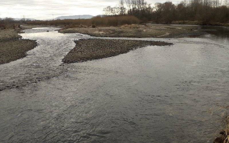 Potwierdził się najczarniejszy scenariusz. Odnalezione zwłoki kobiety należały do poszukiwanej mieszkanki Przecieszyna.