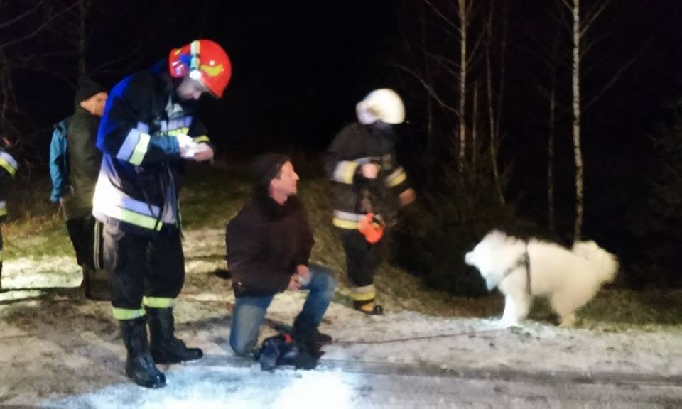 Psy dryfowały na krze lodowej w Bielanach. FOTO!