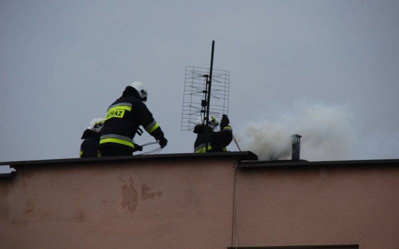 Pożar sadz we Włosienicy. FOTO, FILM!