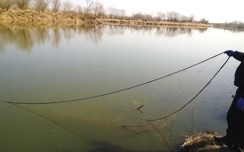 Policjanci poszukują kłusownika. ZDJĘCIA!