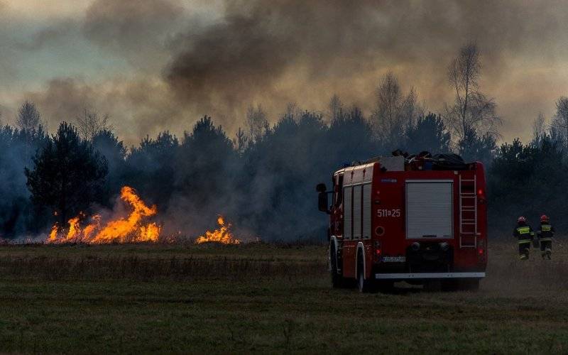 Groźny pożar nieużytków. Jedna osoba została ranna. ZDJĘCIA !