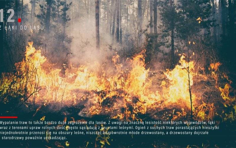 STOP POŻAROM TRAW ! Film oczami Strażaka.