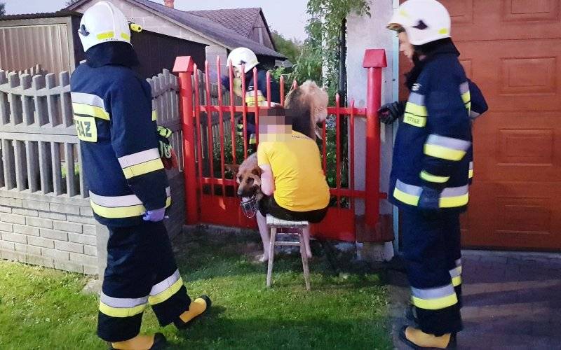 Pies nabił się na ogrodzenie. Z pomocą ruszyli strażacy. ZDJĘCIA!