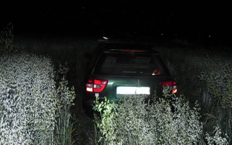 Uciekając przed policją ,,skosił owies”. ZDJĘCIA!