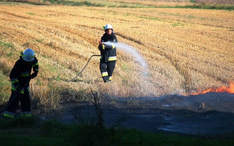 Strażacy gasili pożary ścierniska, traw i nieużytków. ZDJĘCIA!