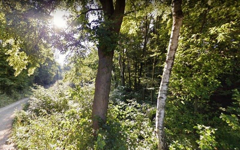 Po miesiącu poszukiwań odnalazła się 60-latka, która prowadziła koczowniczy tryb życia