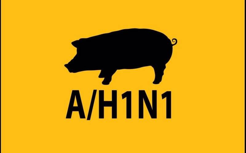 Odnotowano przypadki zachorowań na ,,świńską grypę” w naszym powiecie