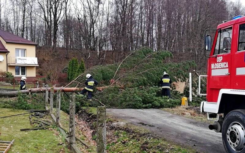 Wiatr znów dał o sobie znać. Najwięcej interwencji w gminie Oświęcim – ZDJĘCIA!