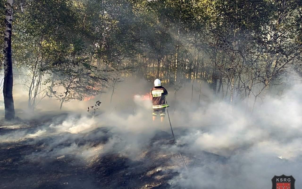 Trzynaście pożarów nieużytków w kilka gorących dni – ZDJĘCIA!