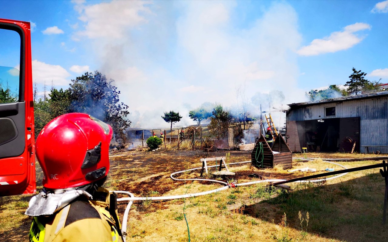 Płoną budynki i nieużytki. Trwa walka strażaków w Chełmku – ZDJĘCIA!