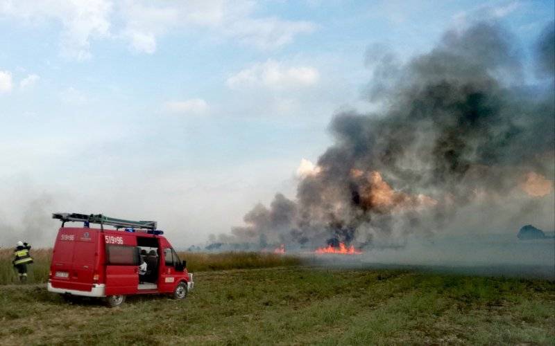 Pożar zboża na pniu w Osieku – ZDJĘCIA!