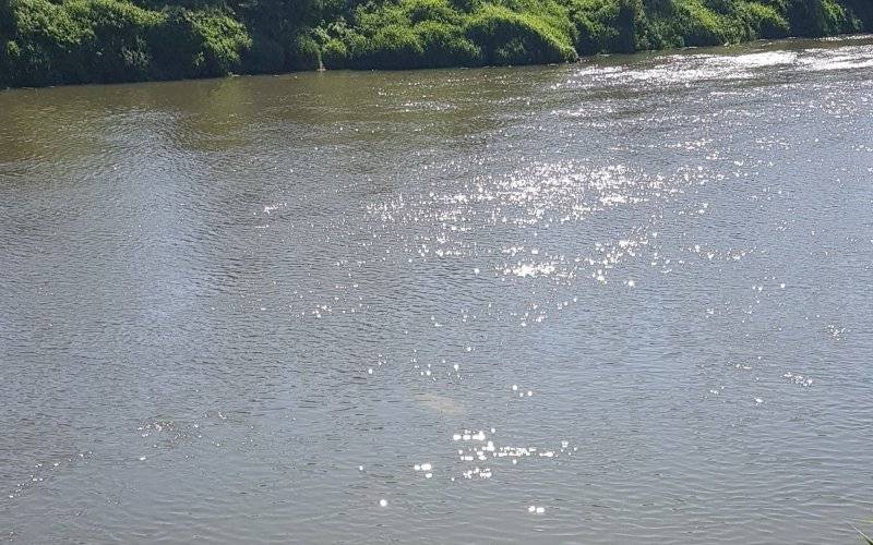 Samochód wpadł do Wisły. Trwa akcja ratunkowa – ZDJĘCIA!