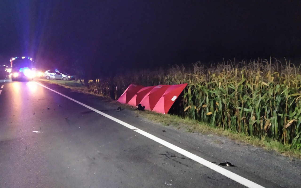 Prośba o udostępnienie. Poszukiwany świadek śmiertelnego wypadku
