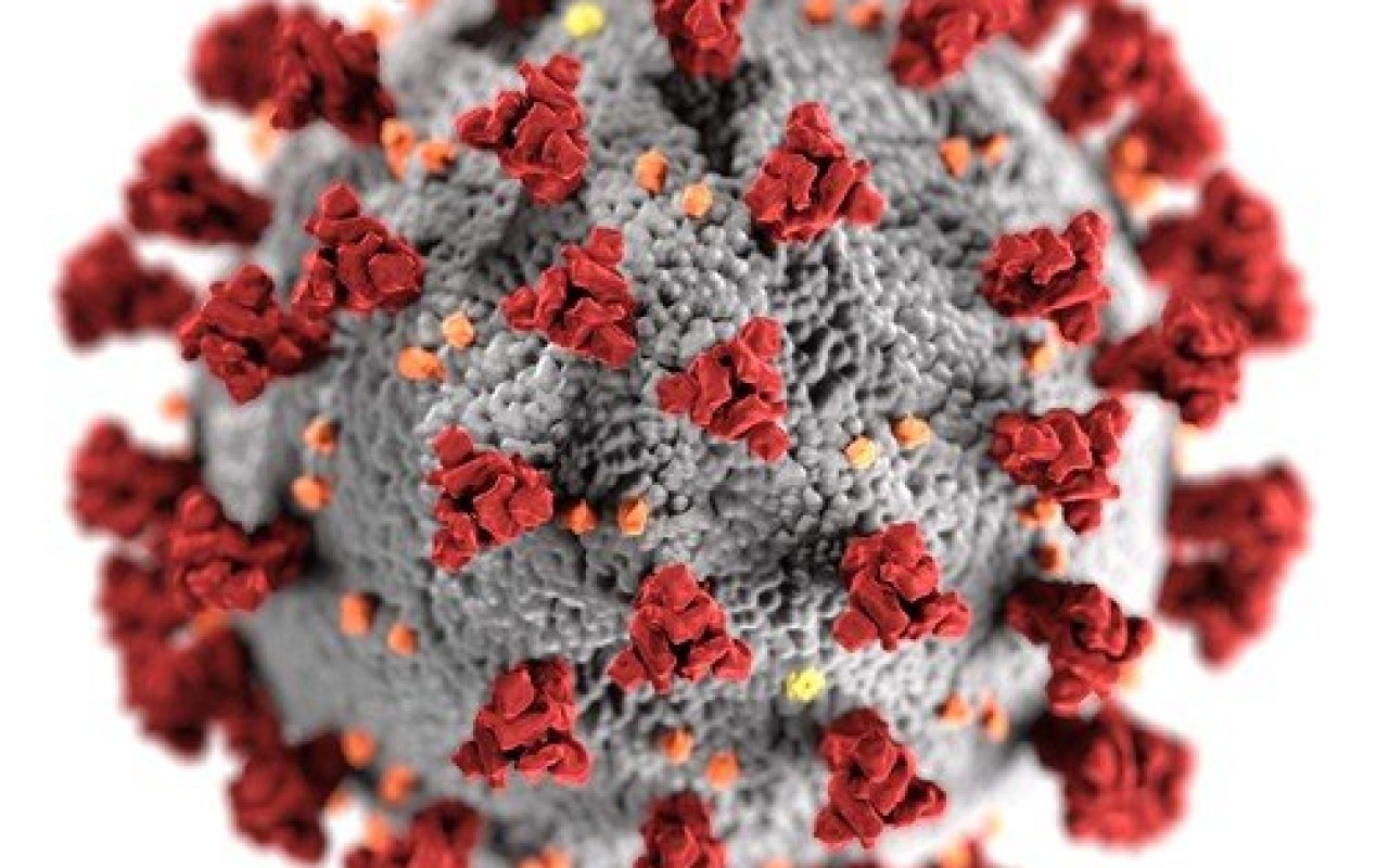 Koronawirus. Kolejne zakażenia w Małopolsce. Siódma ofiara COVID-19 w naszym kraju…