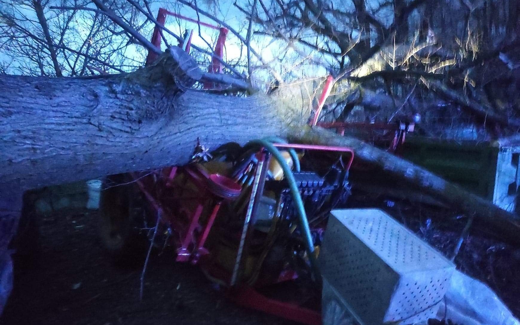 Połamane drzewa, uszkodzone dachy. Strażacy usuwali skutki silnego wiatru – ZDJĘCIA!