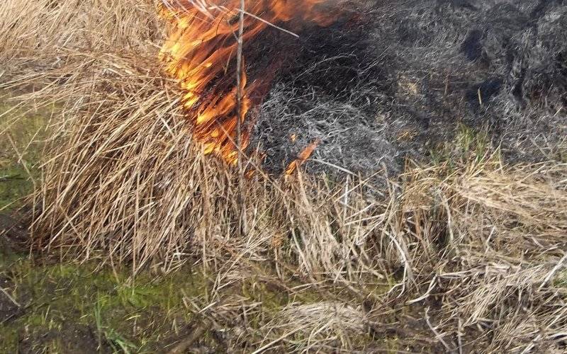 Podpalił łąkę i nie zdążył uciec. Mężczyzna trafił pod opiekę Ratowników Medycznych
