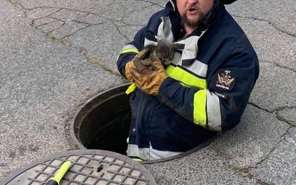 Strażacy z OSP Oświęcim uratowali małego kotka, który utknął w studzience kanalizacyjnej – ZDJĘCIA!