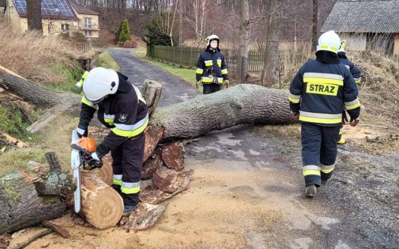 Strażacy usuwali skutki silnego wiatru w powiecie oświęcimskim – ZDJĘCIA!