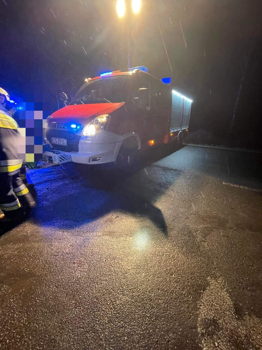 Renault wjechało do stawu. Sprawca kolizji podejrzany o jazdę pod wpływem alkoholu