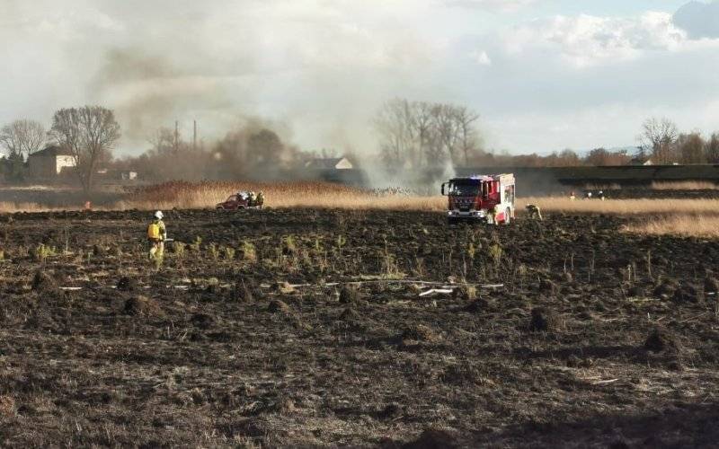 Niebezpieczne pożary w Gorzowie. Strażacy ujęli podpalacza – ZDJĘCIA!