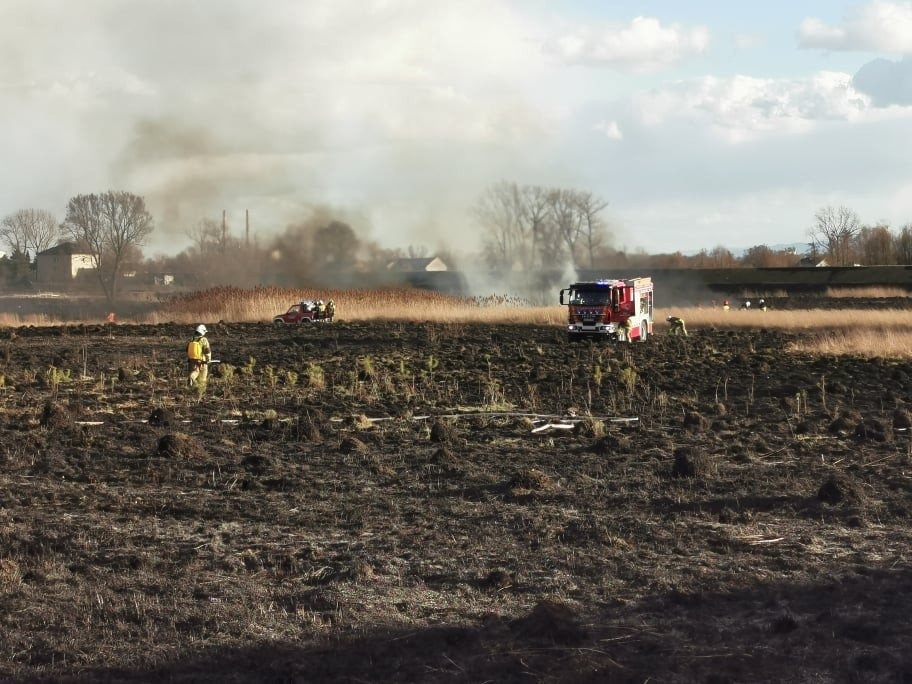 Niebezpieczne pożary w Gorzowie. Strażacy ujęli podpalacza – ZDJĘCIA!