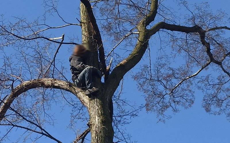 Dramatyczna akcja we Włosienicy. Mężczyzna zasłabł na drzewie – ZDJĘCIA!