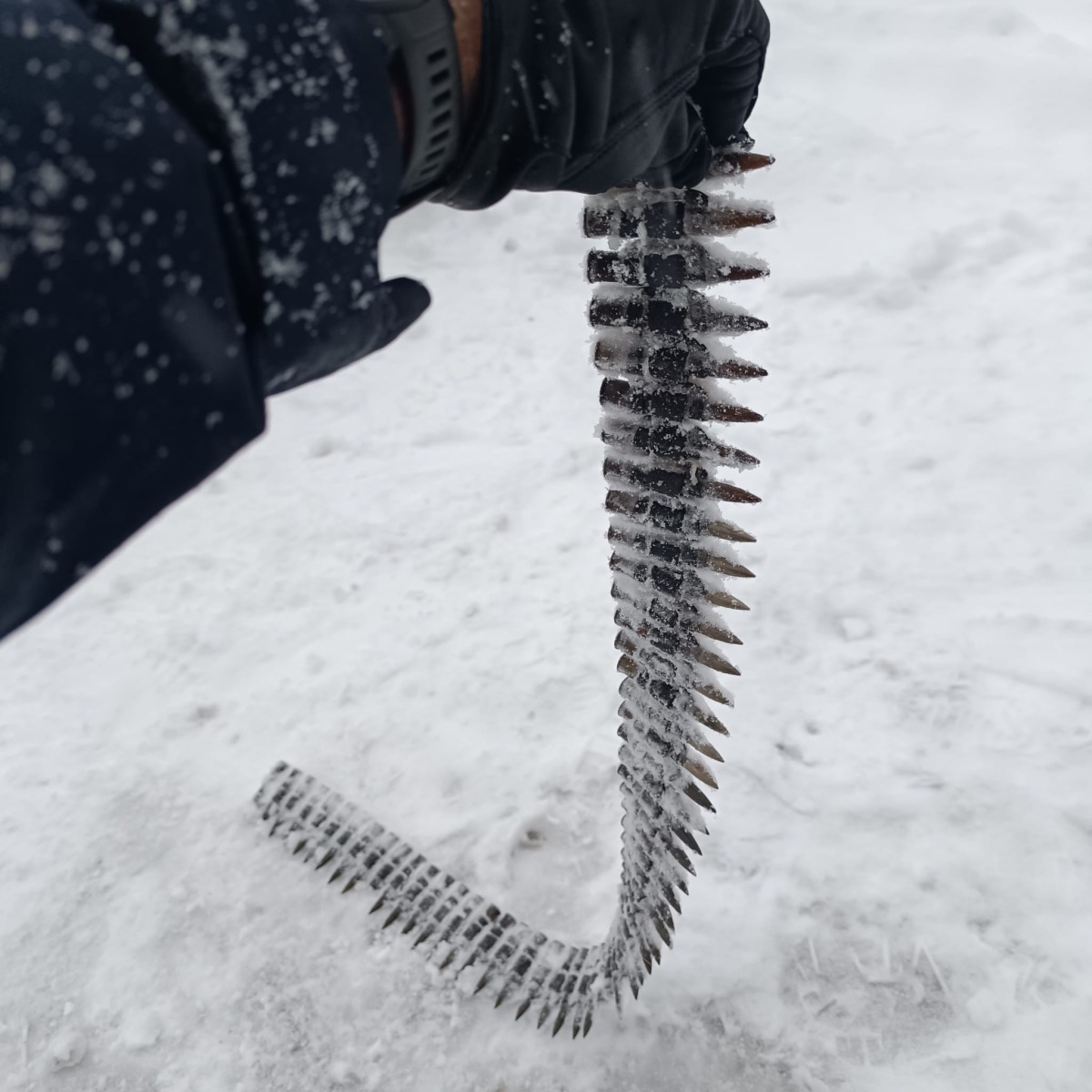 Z Soły wyłowił taśmę nabojową z czasów II wojny światowej