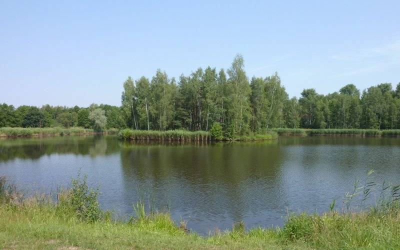 Osoby postronne wyciągnęły ze stawu pijaną kobietę