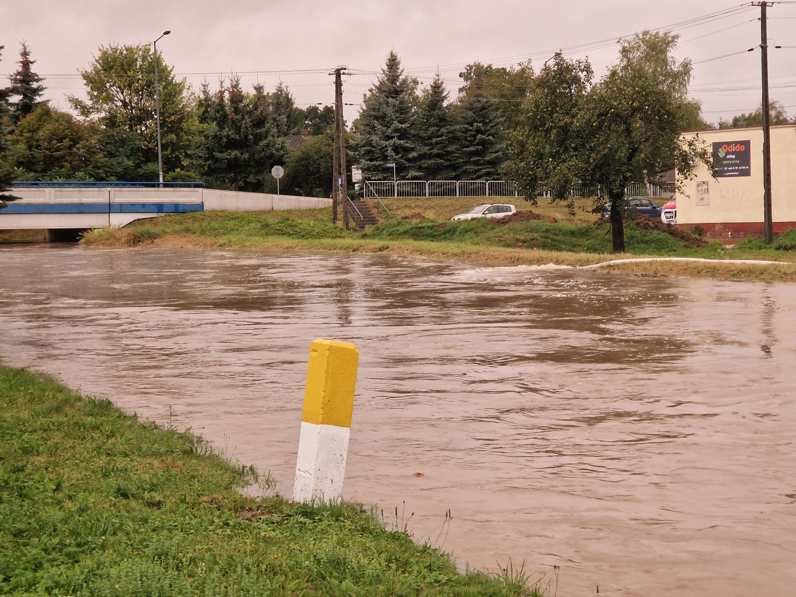Tragiczna sytuacja w powiecie. Rzeki wylały i zalały posesje