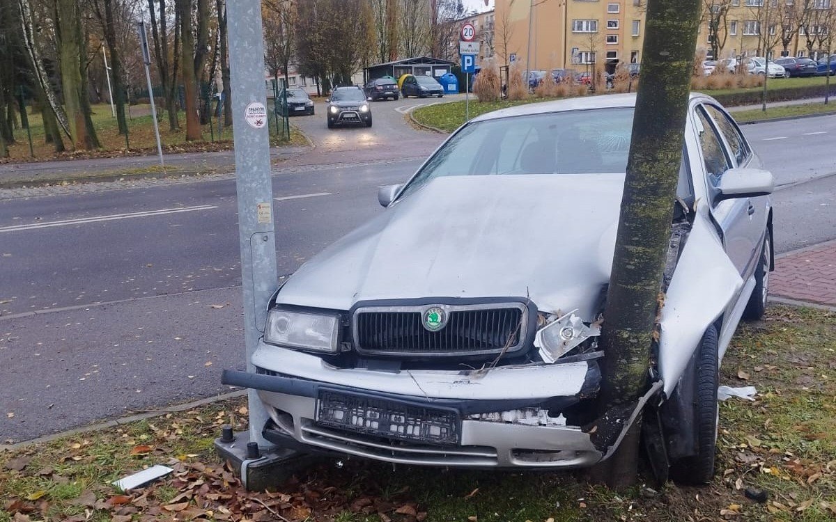 Samochód wypadł z jezdni, a następnie uderzył w latarnię i przydrożne drzewo
