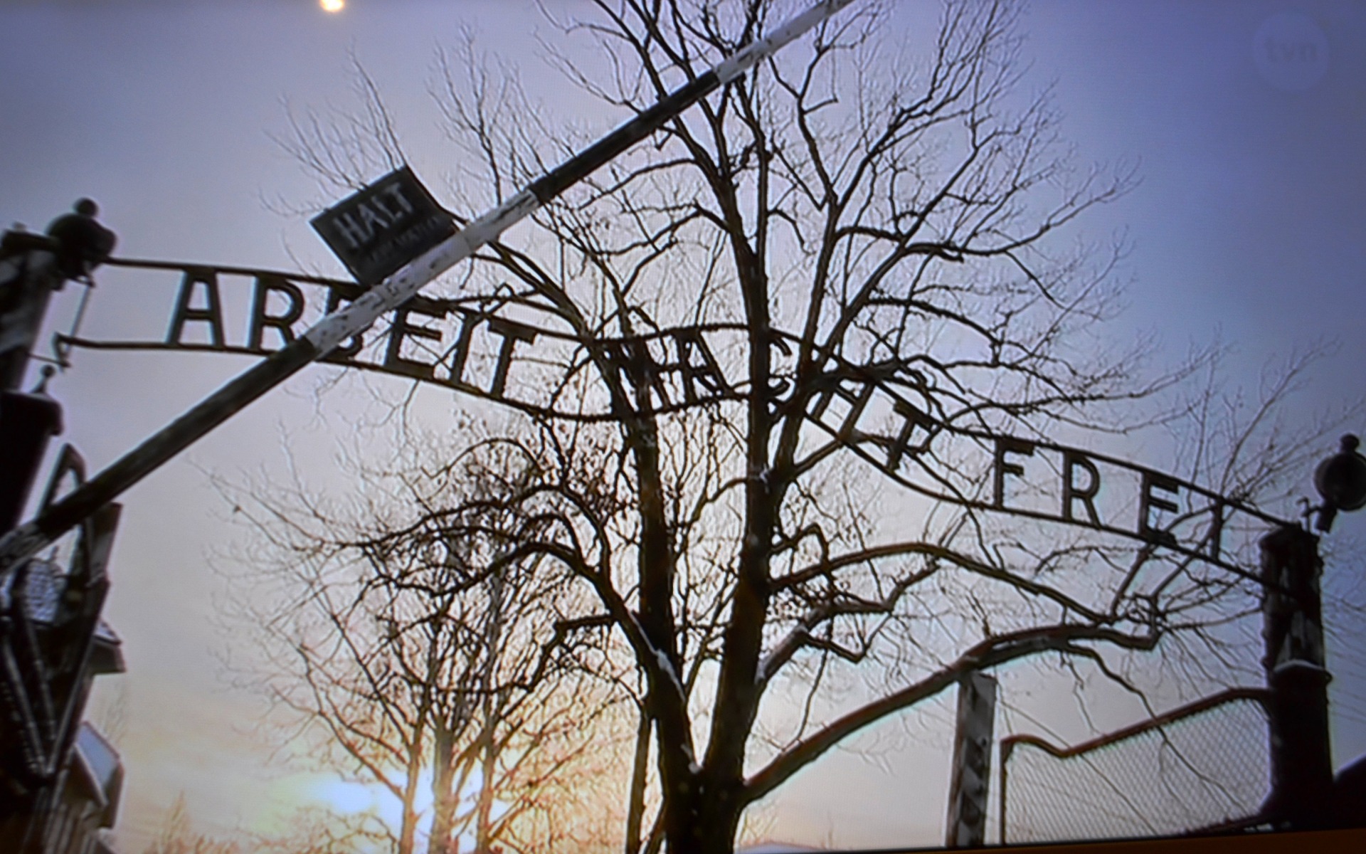 Skandal w Auschwitz. 17-latek z Izraela salutował na tle bramy obozu koncentracyjnego