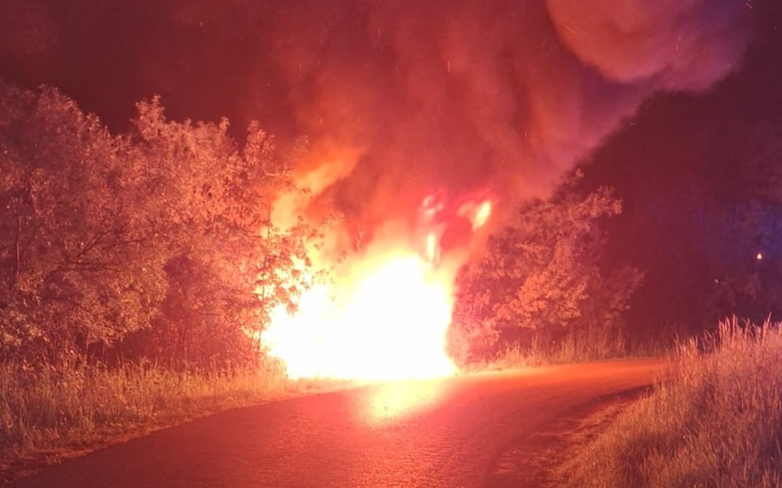 Samochód wjechał do rowu i spłonął