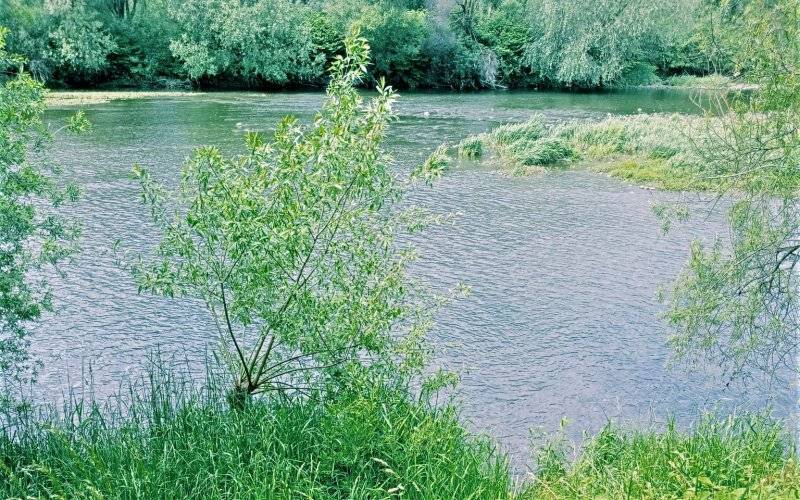 Śledczy ustalają okoliczności zgonu 80 – latki, która wpadła do rzeki Soły